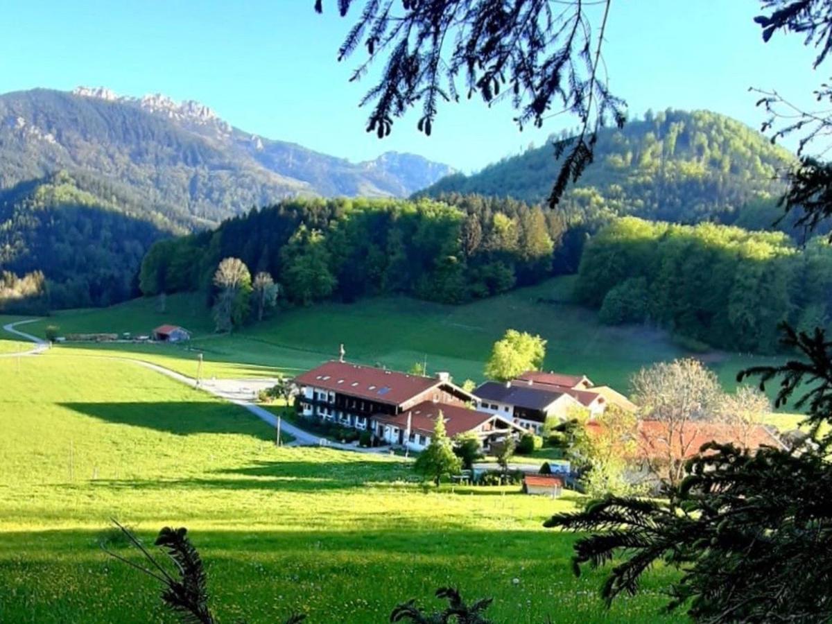 Апартаменти Gschwendtnerhof App25 Schaub Ашау-ім-Кімгау Екстер'єр фото